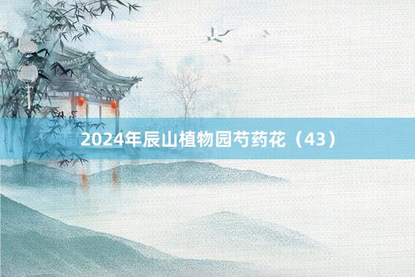 2024年辰山植物园芍药花（43）